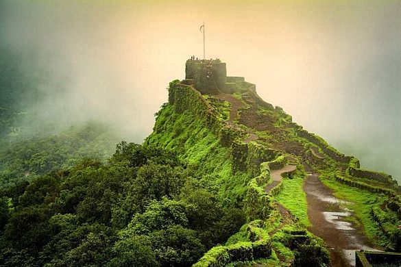 Explore the Best Places to Visit in Idukki, Kerala - A Traveler's Guide