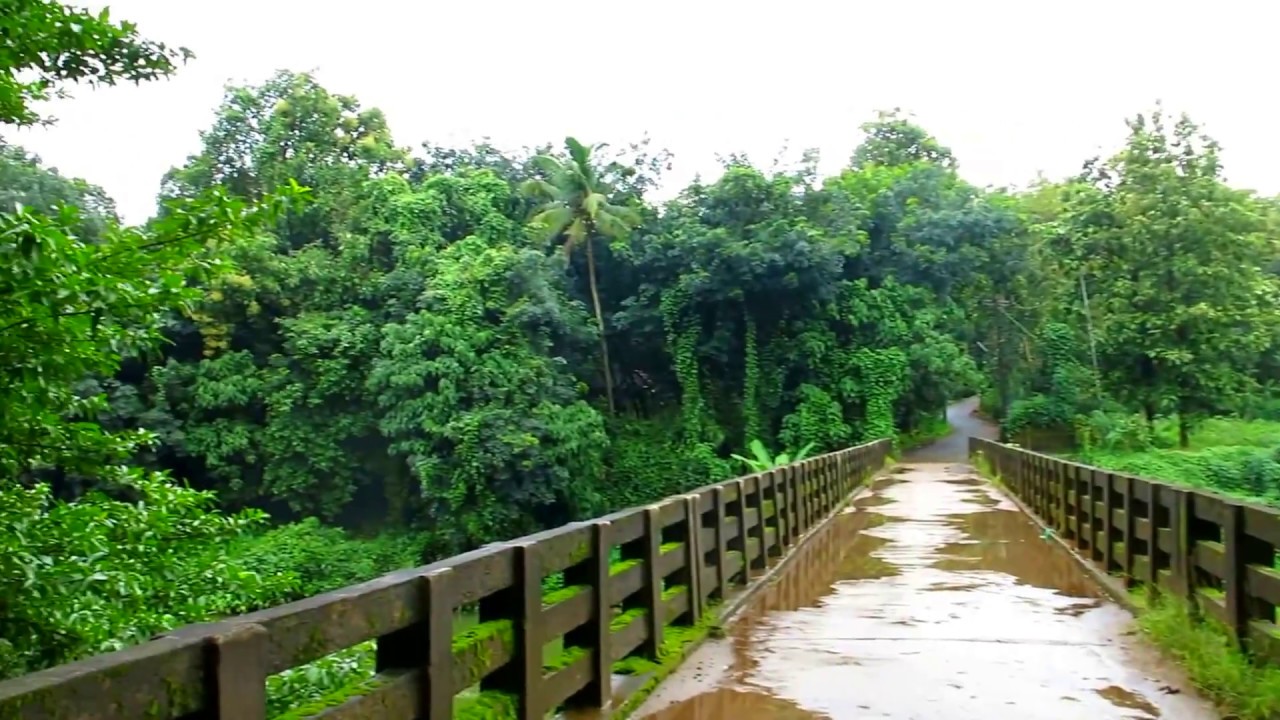 Explore the Best Places to Visit in Thrissur, Kerala – A Perfect Guide for Your Next Adventure!