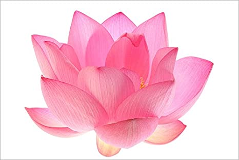 Discover the Spiritual Wonders: Temples in Patna