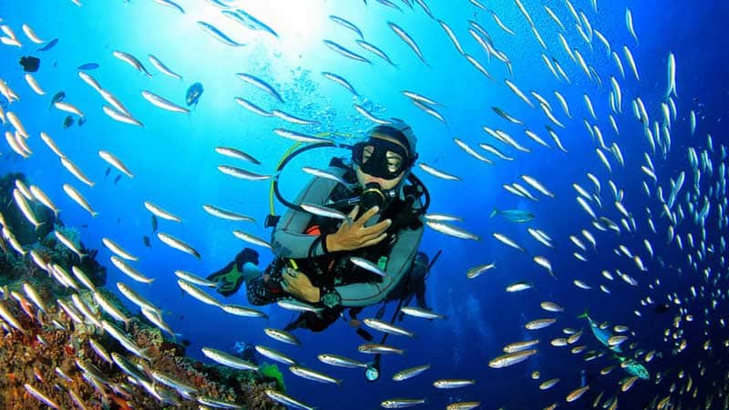 Top Scuba Diving Destinations in India - Explore Underwater Wonders