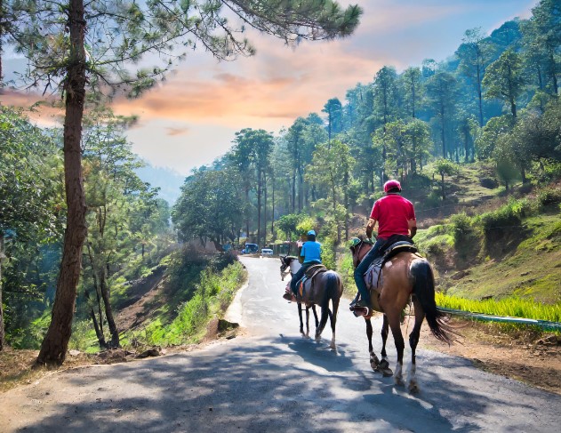 Top Horse-Riding Destinations in India - Explore Equestrian Adventures